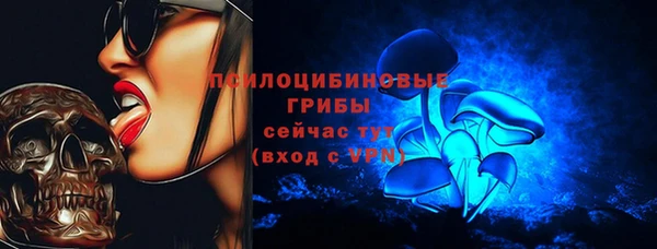 соль ск Алексин